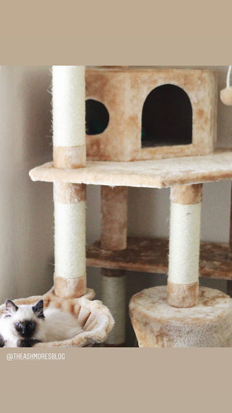 Kitty fashion mansions