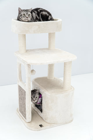 Little Rock Cat Tree