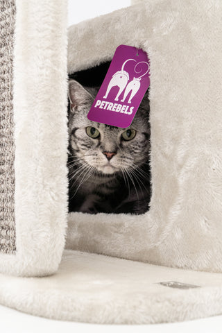 Little Rock Cat Tree by PetRebels