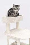 Little Rock Cat Tree by PetRebels