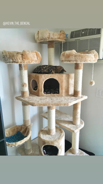 Denver Cat Tree – Kitty Mansions